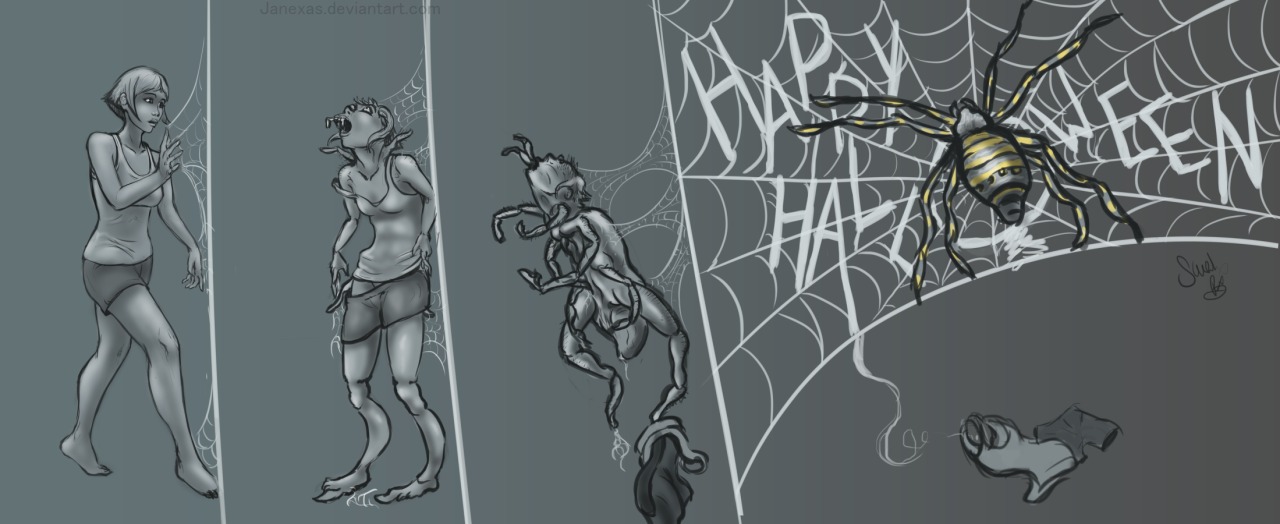 Spider transformation.